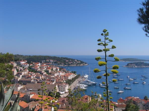 The lovely Hvar harbour - home to the most expensive yachts I have ever seen