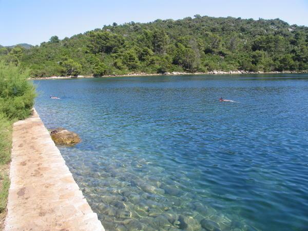 Swimming in a lake in Mljet surrounded by gum trees and the sound of cicadas