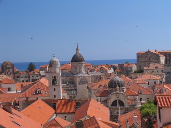 The famous Dubrovnik rooftops