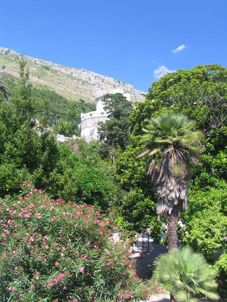 The lush green hills surrounding Dubrovnik city