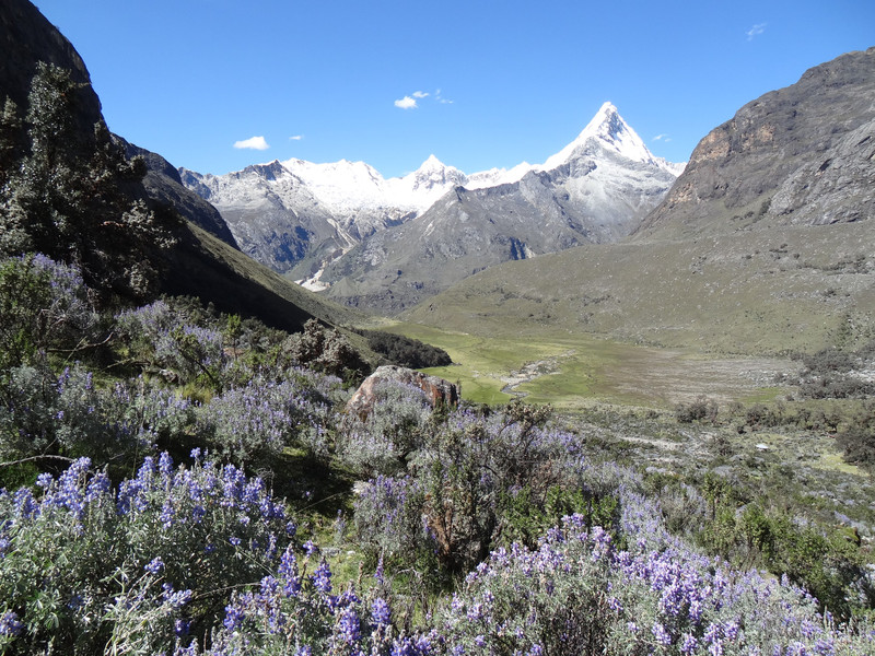 Trek de Santa Cruz