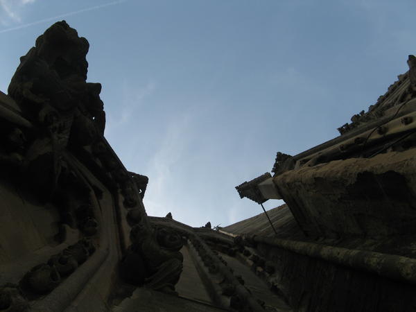 cathedral gargoyles.