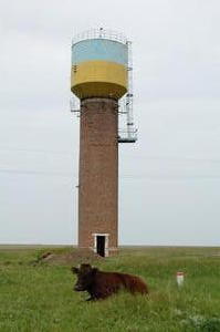 Ukrainsk vanntårn med døsig kvige