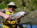 Trout on the Mohaka river