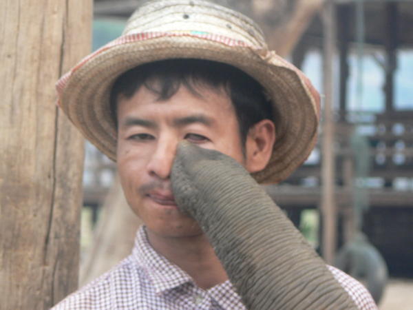 Big Kiss for mahout!