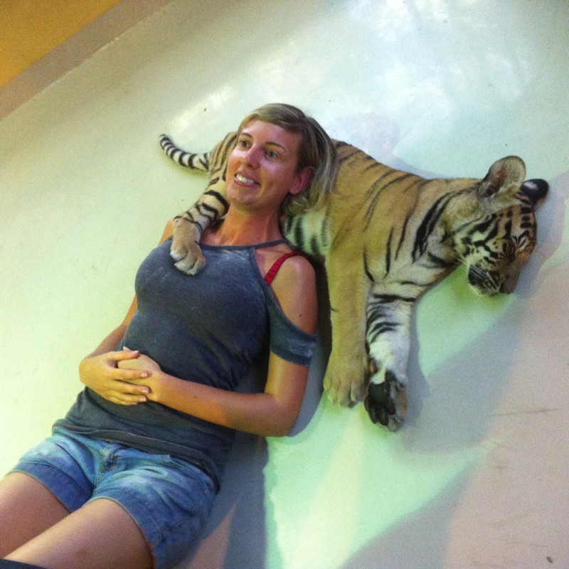 a tiger cub aaahhh