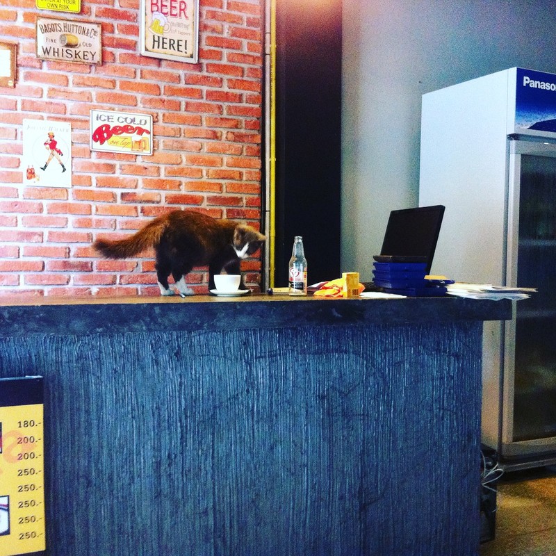 Cute receptionist!