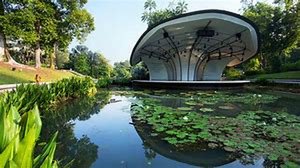 Botanic Gardens lotus pool