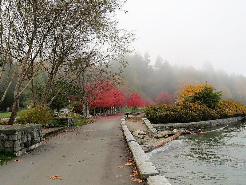 Autumn is almost arrived at Stanley Park