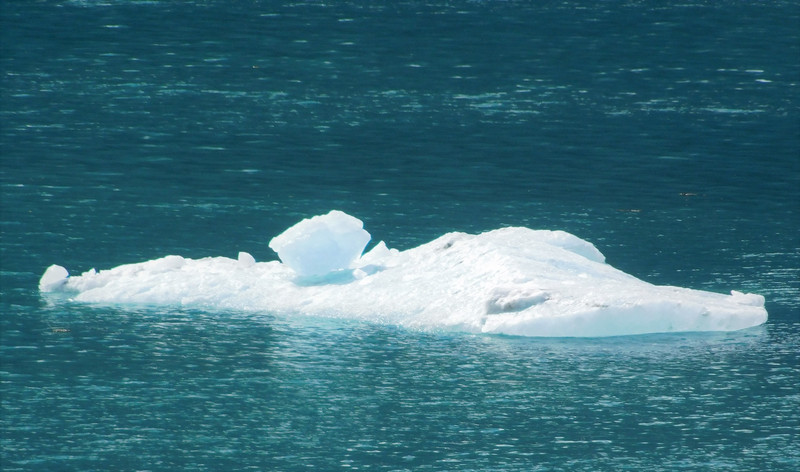 Iceberg in Prince Christian Sound