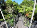Botanic Gardens swinging bridge