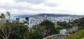 Wellington from cable car summit #1