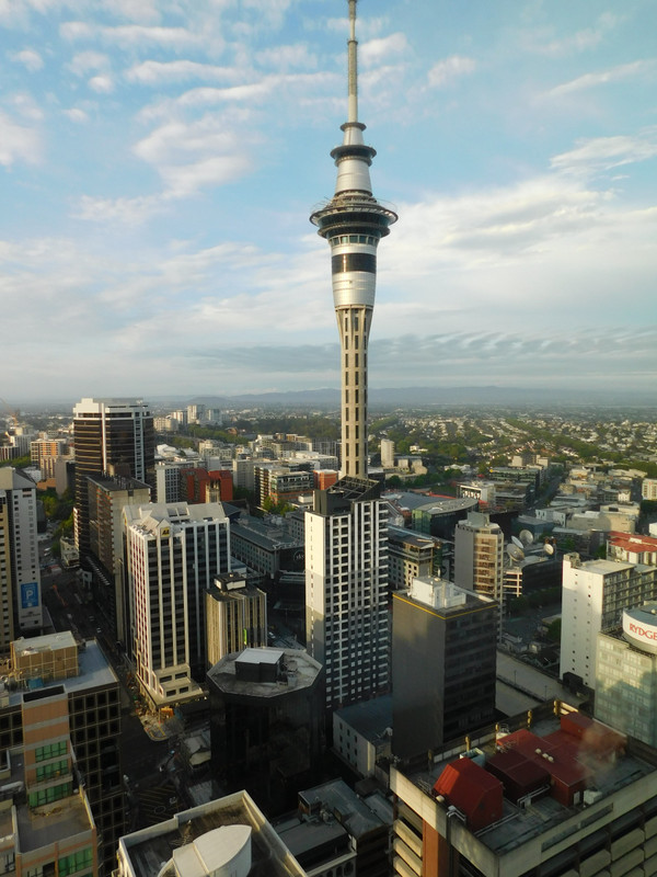 Sky Tower from the hotel window
