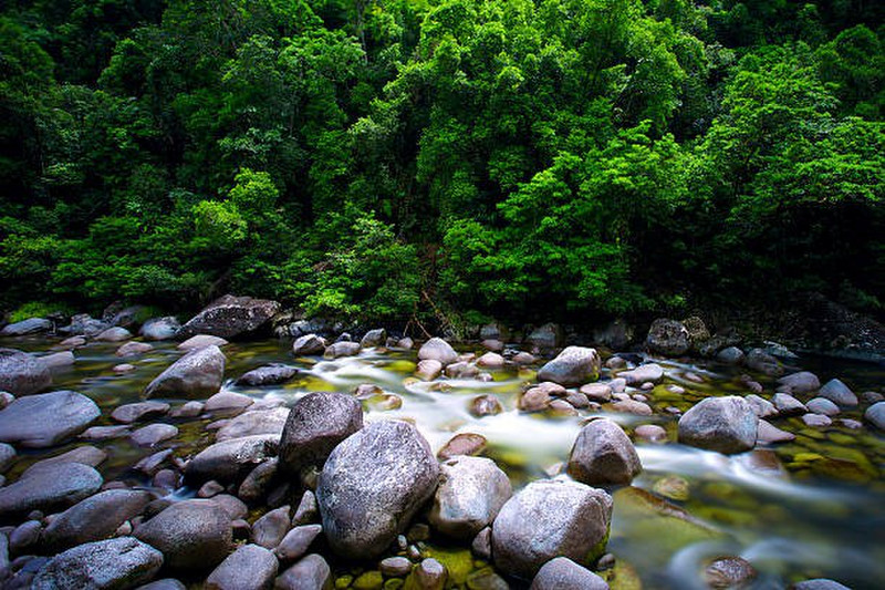 Mossman River in the Daintree National Park