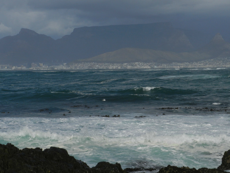 Robben Island, SA 017