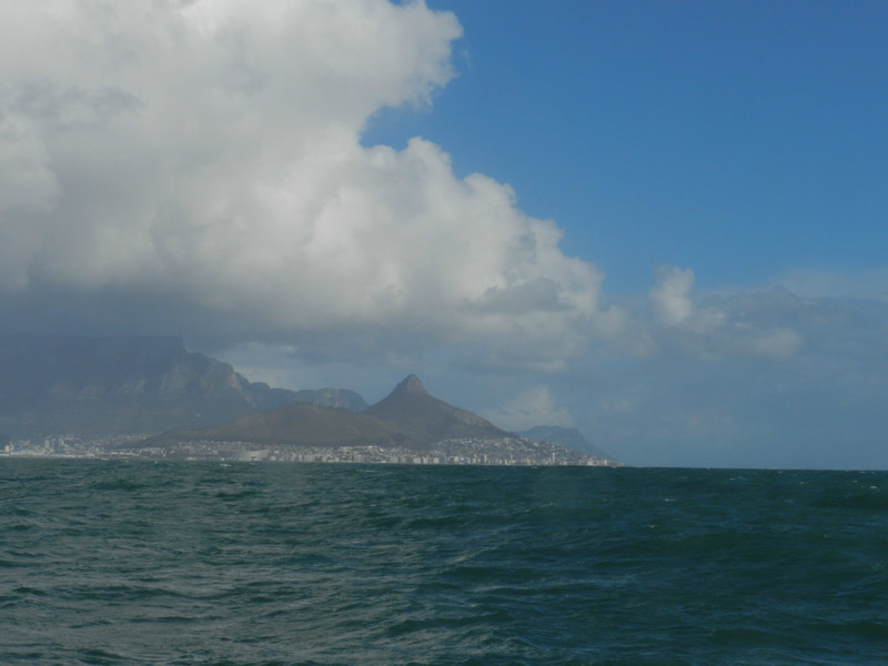 Robben Island, SA 029