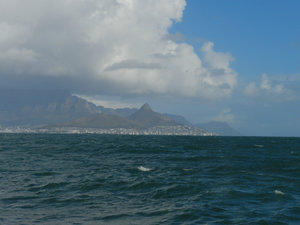 Robben Island, SA 028