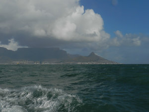 Robben Island, SA 030