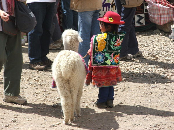 Little girl and her Llama