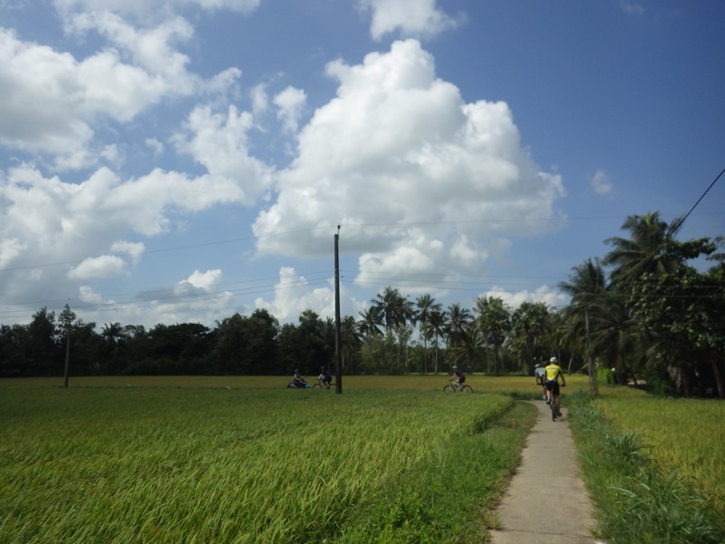 Cycling through Rice Paddies West Mekong