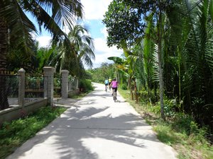 Cycling on a Good One Lane Road in Mekong Delta