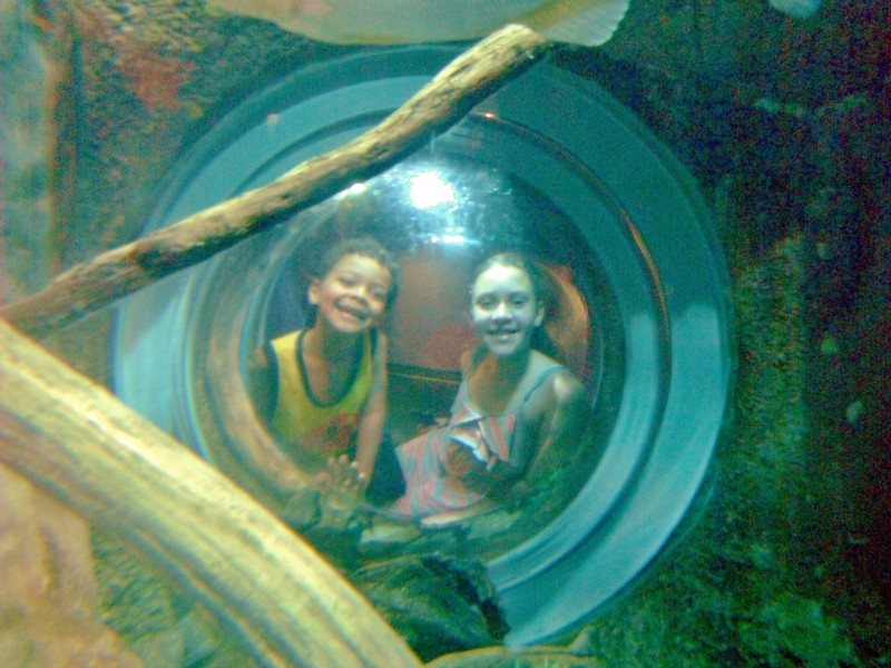 Ga Aquarium 5