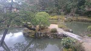 Jardin Japonais 2