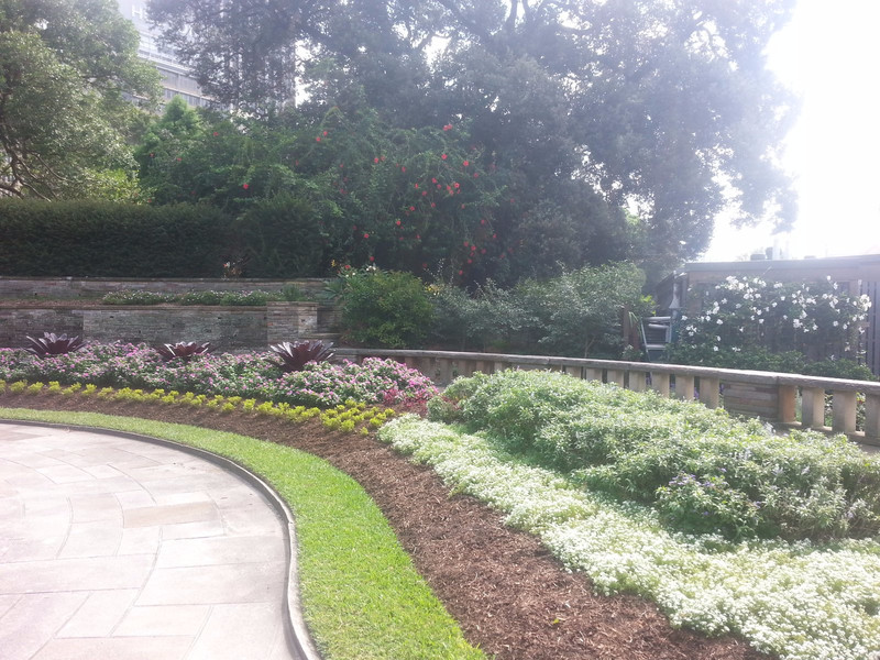 'Royal Botanic Gardens' de Sydney 5