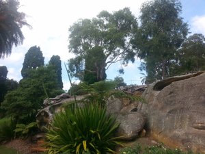 'Royal Botanic Gardens' de Sydney 20