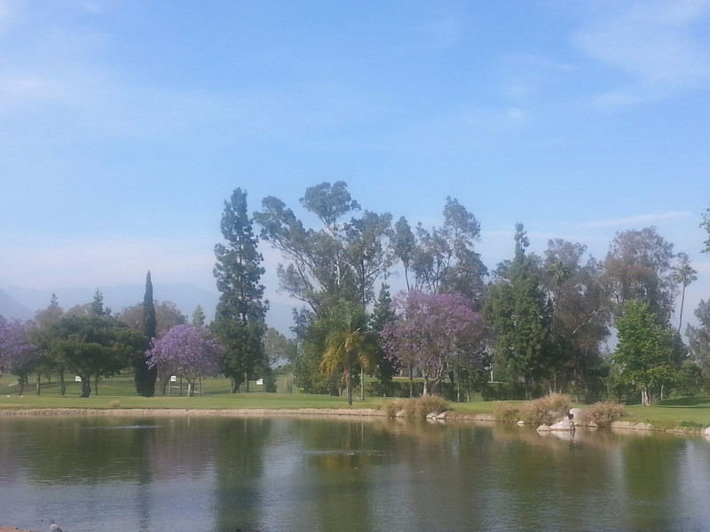 Alhambra park 4