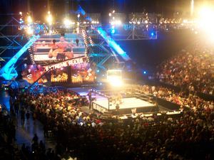 WWE Wrestling