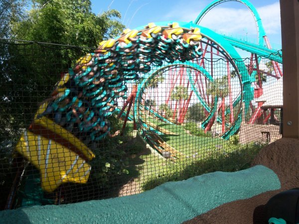 Busch Gardens Roller Coaster