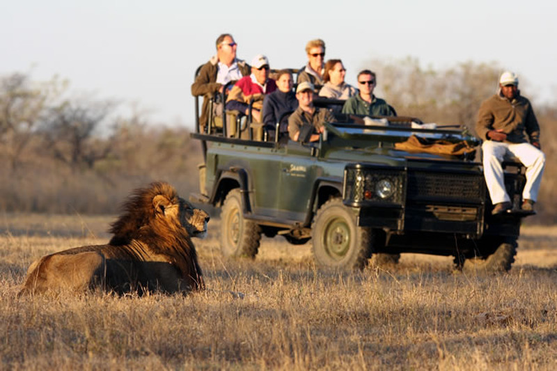 Safari Tour in South Africa