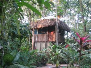 Palenque cabaña