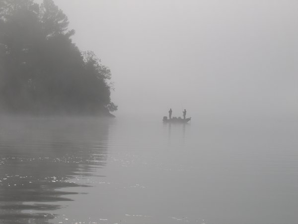 Fishing in the Fog
