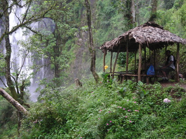 the waterfall and our lunch hut