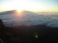 sunrise over kilimanjaro