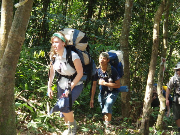 jungle camp training