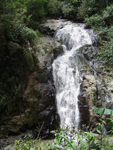 Robinsons Waterfall
