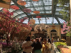 The Conservatory inside the Bellagio