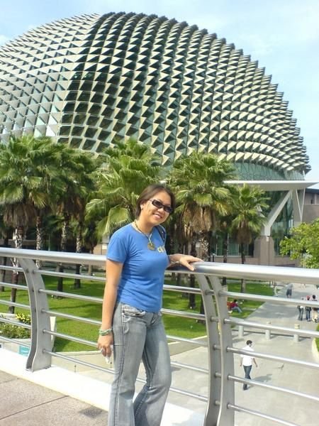 behind the durian-like facade of esplanade.;-)
