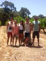 Me and the lads in a vineyard