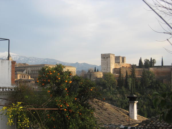 Orange tree; Alhambra; Sierra Navada