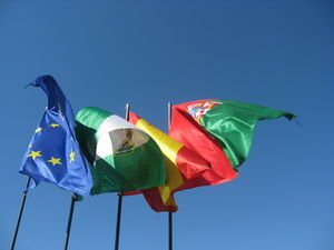 The EU flag, the Andalucian flag, the Spanish flag, and...some other flag.