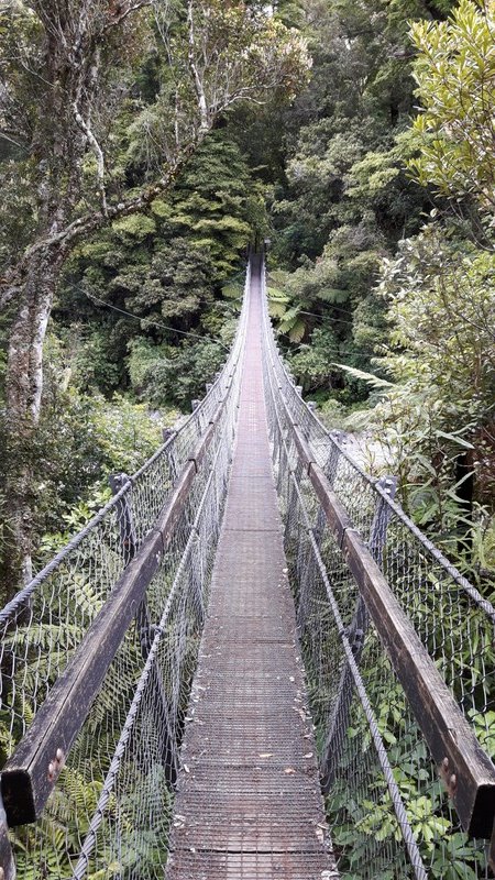 swingbridge in Kaitoke Regional Park