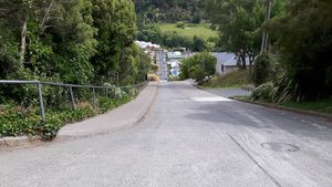 Baldwin Street, the steepest street in the world