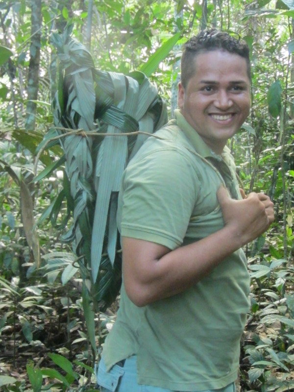 Jungle backpack