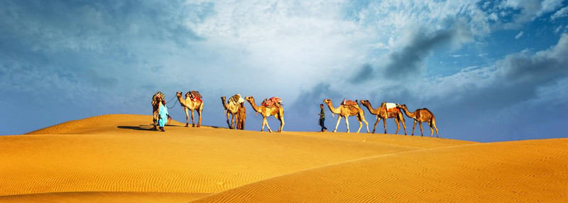 Looking For The Best Desert Safari Deals In Dubai 