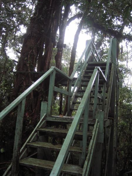 The long staircase up to the Zipline