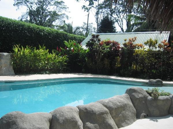 Pool at Hotel Calalu